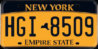 NY license plate HGI8509