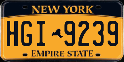 NY license plate HGI9239