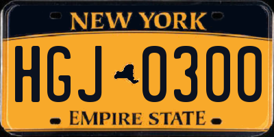 NY license plate HGJ0300