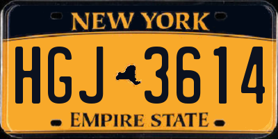 NY license plate HGJ3614