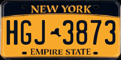NY license plate HGJ3873