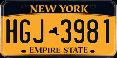 NY license plate HGJ3981