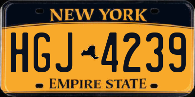 NY license plate HGJ4239