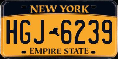 NY license plate HGJ6239
