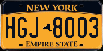 NY license plate HGJ8003
