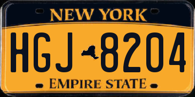 NY license plate HGJ8204