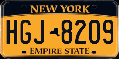 NY license plate HGJ8209