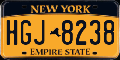 NY license plate HGJ8238