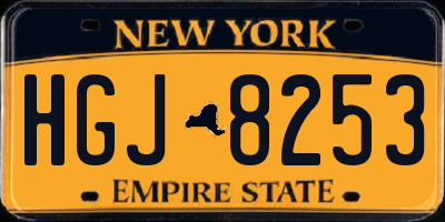 NY license plate HGJ8253