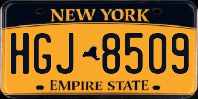 NY license plate HGJ8509