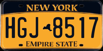 NY license plate HGJ8517