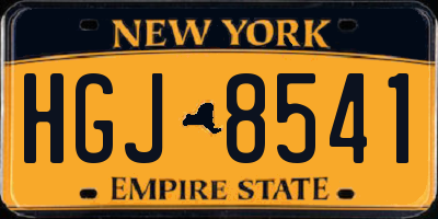 NY license plate HGJ8541