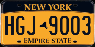 NY license plate HGJ9003