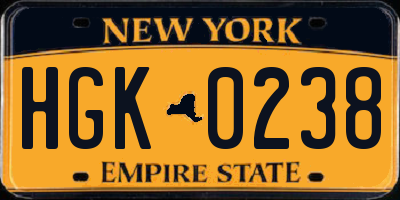 NY license plate HGK0238