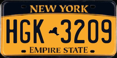 NY license plate HGK3209