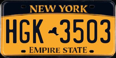 NY license plate HGK3503