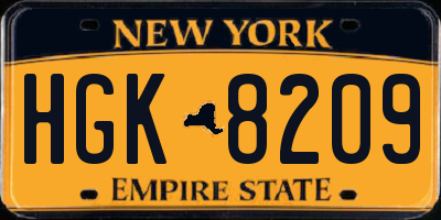 NY license plate HGK8209