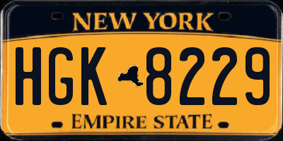 NY license plate HGK8229