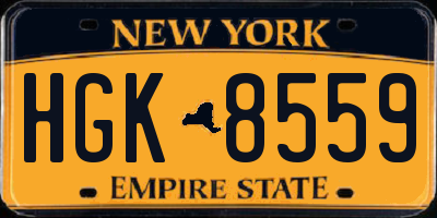 NY license plate HGK8559