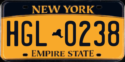 NY license plate HGL0238