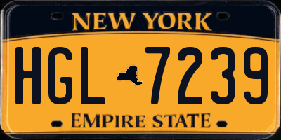 NY license plate HGL7239