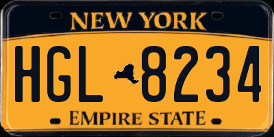 NY license plate HGL8234