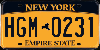 NY license plate HGM0231