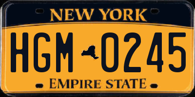NY license plate HGM0245