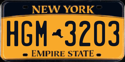 NY license plate HGM3203