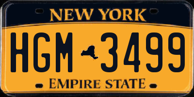 NY license plate HGM3499
