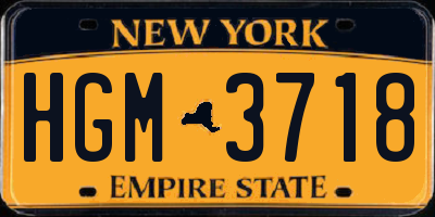 NY license plate HGM3718