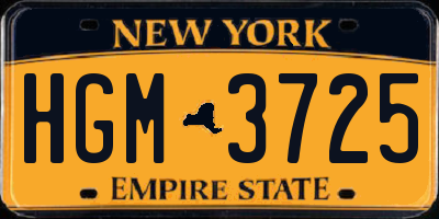 NY license plate HGM3725