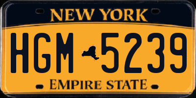 NY license plate HGM5239