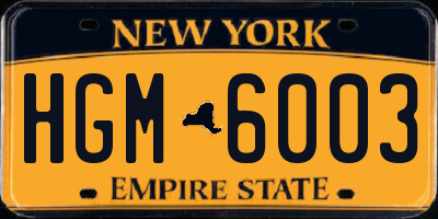 NY license plate HGM6003