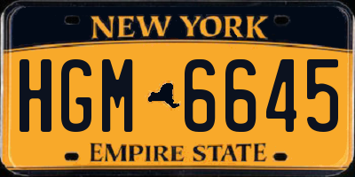 NY license plate HGM6645