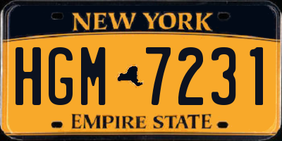 NY license plate HGM7231