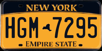 NY license plate HGM7295