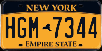 NY license plate HGM7344