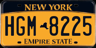 NY license plate HGM8225