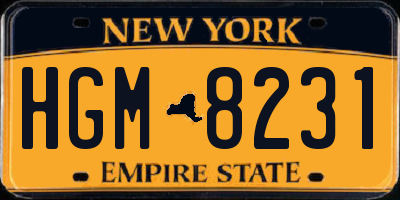 NY license plate HGM8231