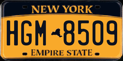 NY license plate HGM8509