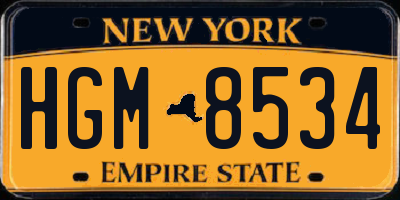 NY license plate HGM8534
