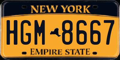 NY license plate HGM8667