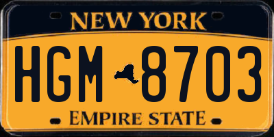 NY license plate HGM8703