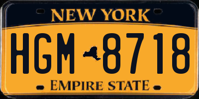 NY license plate HGM8718