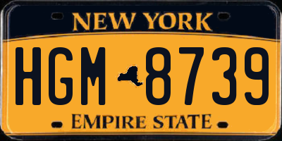 NY license plate HGM8739