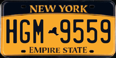 NY license plate HGM9559