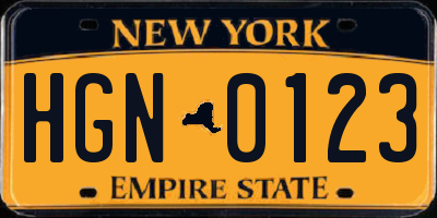 NY license plate HGN0123