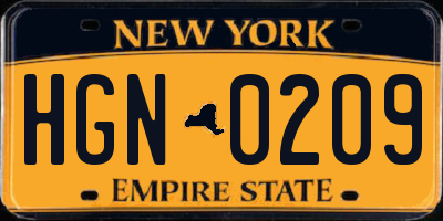 NY license plate HGN0209