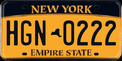 NY license plate HGN0222